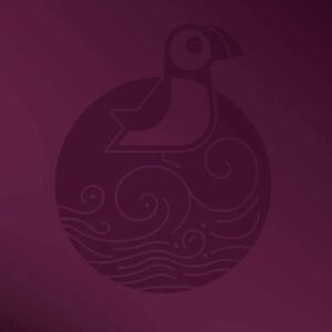 Ubuntu 25.04 debütiert mit Schluckauf