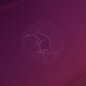 Ubuntu 25.10: Linux bald ohne GNU